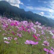 星野　ちひろ 出勤とお礼💌15日本指さん 松山回春性感エステオールスターズ