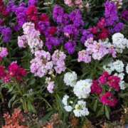 ヒメ日記 2025/04/02 07:26 投稿 ちか 佐賀人妻デリヘル 「デリ夫人」