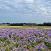 ヒメ日記 2025/04/10 07:42 投稿 ちか 佐賀人妻デリヘル 「デリ夫人」