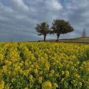 ヒメ日記 2025/04/10 20:01 投稿 ちか 佐賀人妻デリヘル 「デリ夫人」