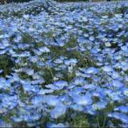 ヒメ日記 2025/04/18 21:45 投稿 ちか 佐賀人妻デリヘル 「デリ夫人」