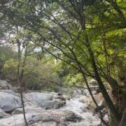 ヒメ日記 2025/04/21 01:16 投稿 ちか 佐賀人妻デリヘル 「デリ夫人」