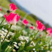 ヒメ日記 2025/04/30 01:30 投稿 ちか 佐賀人妻デリヘル 「デリ夫人」