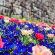 ヒメ日記 2025/04/30 08:20 投稿 ちか 佐賀人妻デリヘル 「デリ夫人」