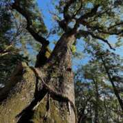 ヒメ日記 2025/05/06 09:45 投稿 ちか 佐賀人妻デリヘル 「デリ夫人」