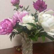 ヒメ日記 2025/05/08 08:26 投稿 ちか 佐賀人妻デリヘル 「デリ夫人」