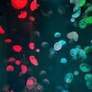 ヒメ日記 2025/05/09 22:02 投稿 ちか 佐賀人妻デリヘル 「デリ夫人」