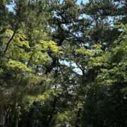 ヒメ日記 2025/05/10 08:02 投稿 ちか 佐賀人妻デリヘル 「デリ夫人」