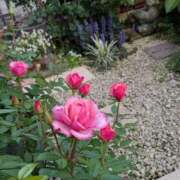 ヒメ日記 2025/05/13 18:13 投稿 ちか 佐賀人妻デリヘル 「デリ夫人」