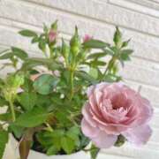 ヒメ日記 2025/05/14 14:45 投稿 ちか 佐賀人妻デリヘル 「デリ夫人」