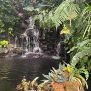 ヒメ日記 2025/05/14 22:26 投稿 ちか 佐賀人妻デリヘル 「デリ夫人」