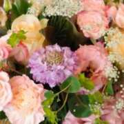 ヒメ日記 2025/05/17 07:30 投稿 ちか 佐賀人妻デリヘル 「デリ夫人」