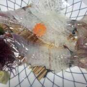 ヒメ日記 2025/05/17 19:19 投稿 ちか 佐賀人妻デリヘル 「デリ夫人」