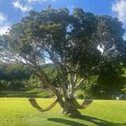 ヒメ日記 2025/05/18 21:01 投稿 ちか 佐賀人妻デリヘル 「デリ夫人」