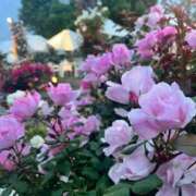 ヒメ日記 2025/05/19 07:49 投稿 ちか 佐賀人妻デリヘル 「デリ夫人」