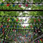 ヒメ日記 2025/05/19 23:55 投稿 ちか 佐賀人妻デリヘル 「デリ夫人」