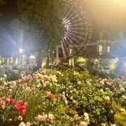 ヒメ日記 2025/05/21 23:45 投稿 ちか 佐賀人妻デリヘル 「デリ夫人」