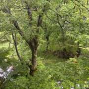 ヒメ日記 2025/05/25 06:56 投稿 ちか 佐賀人妻デリヘル 「デリ夫人」