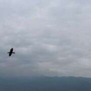 ヒメ日記 2025/06/08 06:56 投稿 ちか 佐賀人妻デリヘル 「デリ夫人」