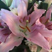 ヒメ日記 2025/06/08 08:00 投稿 ちか 佐賀人妻デリヘル 「デリ夫人」