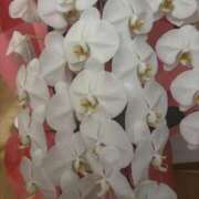 ヒメ日記 2025/06/12 08:45 投稿 ちか 佐賀人妻デリヘル 「デリ夫人」