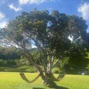 ヒメ日記 2025/06/16 18:30 投稿 ちか 佐賀人妻デリヘル 「デリ夫人」