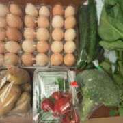 ヒメ日記 2025/06/16 19:00 投稿 ちか 佐賀人妻デリヘル 「デリ夫人」