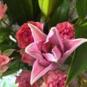 ヒメ日記 2025/06/20 07:31 投稿 ちか 佐賀人妻デリヘル 「デリ夫人」