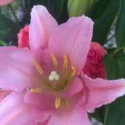 ヒメ日記 2025/06/20 14:05 投稿 ちか 佐賀人妻デリヘル 「デリ夫人」