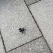 ヒメ日記 2025/06/22 13:46 投稿 ちか 佐賀人妻デリヘル 「デリ夫人」