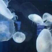 ヒメ日記 2025/06/24 19:01 投稿 ちか 佐賀人妻デリヘル 「デリ夫人」