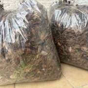 ヒメ日記 2025/07/03 07:23 投稿 ちか 佐賀人妻デリヘル 「デリ夫人」