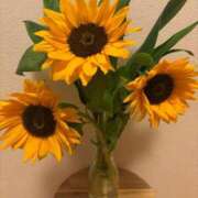 ヒメ日記 2025/07/08 17:07 投稿 ちか 佐賀人妻デリヘル 「デリ夫人」