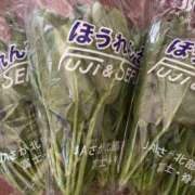 ヒメ日記 2025/07/17 17:10 投稿 ちか 佐賀人妻デリヘル 「デリ夫人」