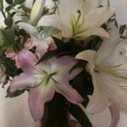 ヒメ日記 2025/07/22 17:58 投稿 ちか 佐賀人妻デリヘル 「デリ夫人」