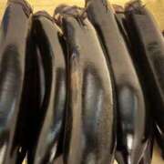 ヒメ日記 2025/07/22 18:15 投稿 ちか 佐賀人妻デリヘル 「デリ夫人」