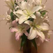 ヒメ日記 2025/07/24 22:27 投稿 ちか 佐賀人妻デリヘル 「デリ夫人」