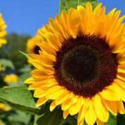 ヒメ日記 2025/07/27 23:15 投稿 ちか 佐賀人妻デリヘル 「デリ夫人」