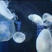 ヒメ日記 2025/07/31 16:48 投稿 ちか 佐賀人妻デリヘル 「デリ夫人」