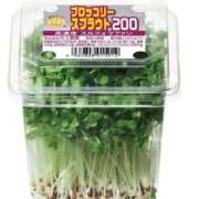 ヒメ日記 2025/07/31 20:49 投稿 ちか 佐賀人妻デリヘル 「デリ夫人」