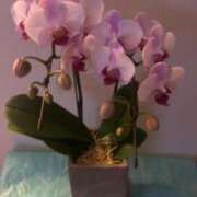 ヒメ日記 2025/08/01 19:13 投稿 ちか 佐賀人妻デリヘル 「デリ夫人」