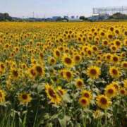 ヒメ日記 2025/08/03 08:02 投稿 ちか 佐賀人妻デリヘル 「デリ夫人」