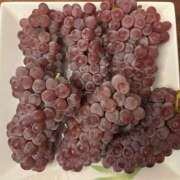 ヒメ日記 2025/08/06 07:11 投稿 ちか 佐賀人妻デリヘル 「デリ夫人」