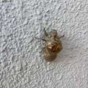 ヒメ日記 2025/08/06 07:57 投稿 ちか 佐賀人妻デリヘル 「デリ夫人」