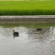 ヒメ日記 2025/08/07 14:38 投稿 ちか 佐賀人妻デリヘル 「デリ夫人」