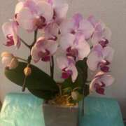 ヒメ日記 2025/08/09 11:32 投稿 ちか 佐賀人妻デリヘル 「デリ夫人」