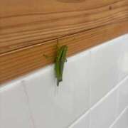 ヒメ日記 2025/08/13 16:18 投稿 ちか 佐賀人妻デリヘル 「デリ夫人」