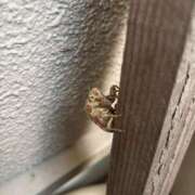 ヒメ日記 2025/08/16 09:01 投稿 ちか 佐賀人妻デリヘル 「デリ夫人」