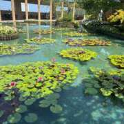 ヒメ日記 2025/08/16 17:12 投稿 ちか 佐賀人妻デリヘル 「デリ夫人」