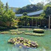 ヒメ日記 2025/08/17 18:01 投稿 ちか 佐賀人妻デリヘル 「デリ夫人」